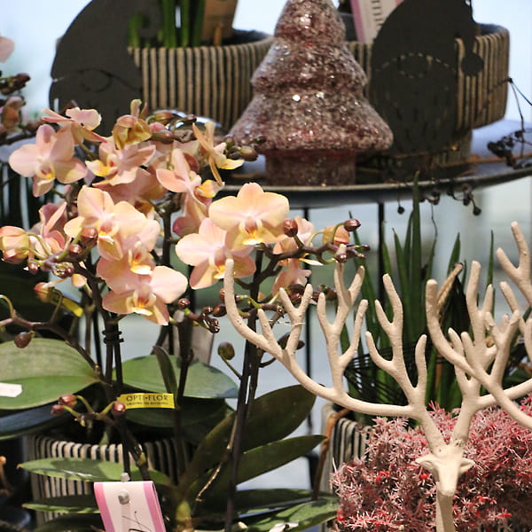blumen-dauner-gerstetten-deko-accessoires-04-min