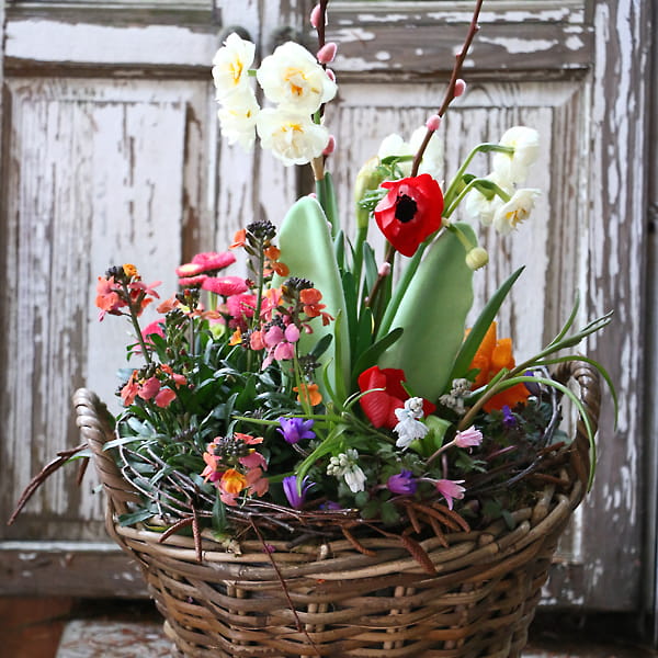 blumen-dauner-gerstetten-impressionen-10-min