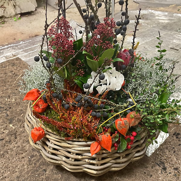 blumen-dauner-gerstetten-pflanzen-05-min